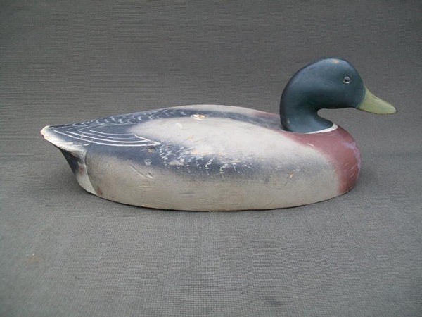 Wildfowler Mallard Drake, Old Saybrook