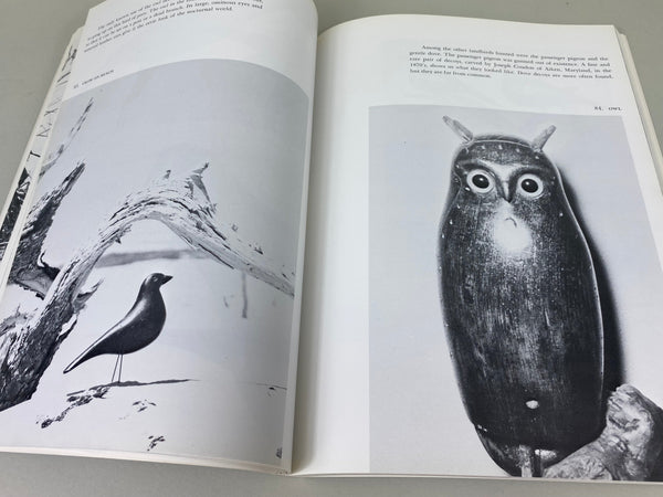 2 Books- Decoys A North American Survey, and The Art Of The Decoy: American Bird Carvings