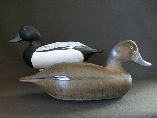 Virgil Lashbrook Blue Bills Pair Signed