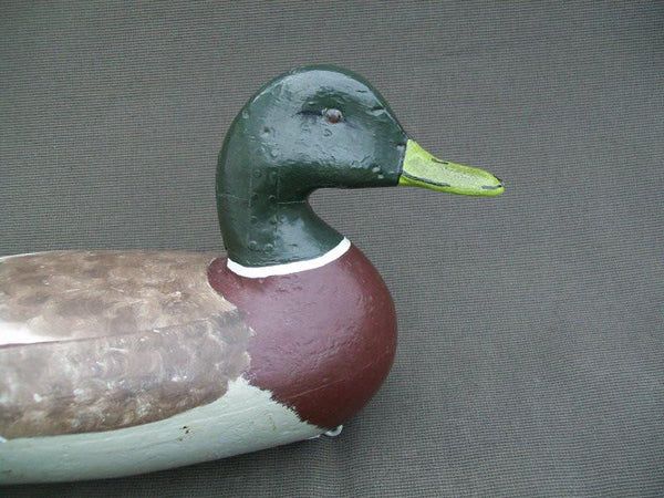 Perdew Mallard Drake Circa 1930's