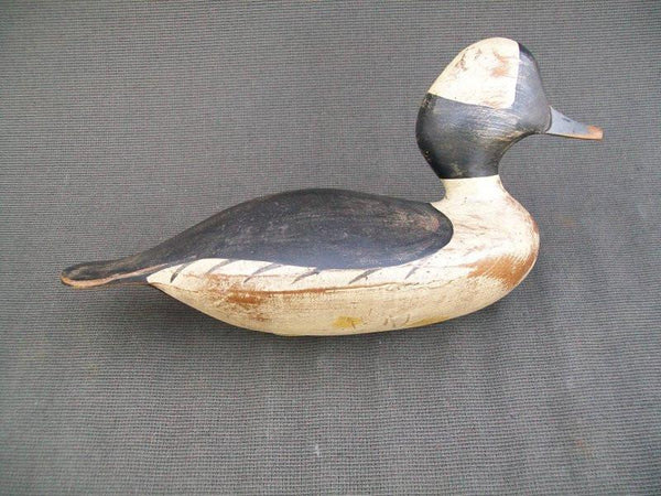 TJ Hooker Bufflehead