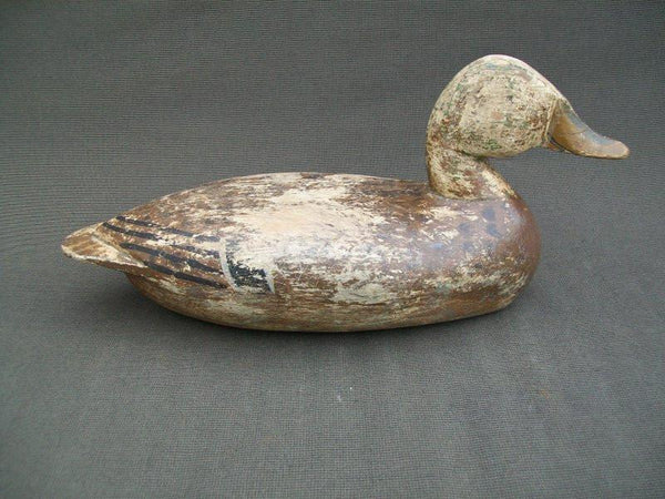 Henry Taubert Sr. Working Mallard Hen Pekin Illinois