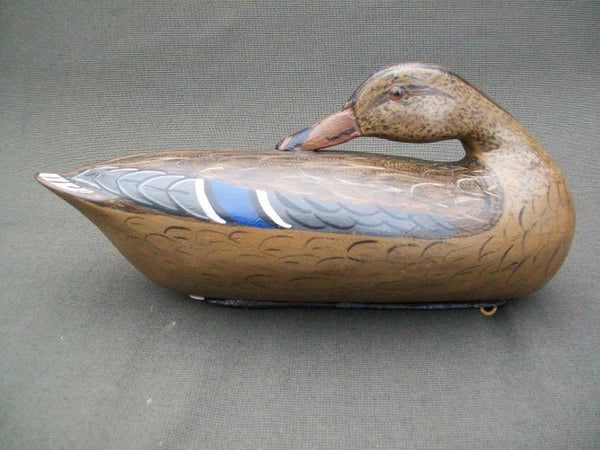 Perdew Style Sleeper Mallard Hen by Charles Moore with weight