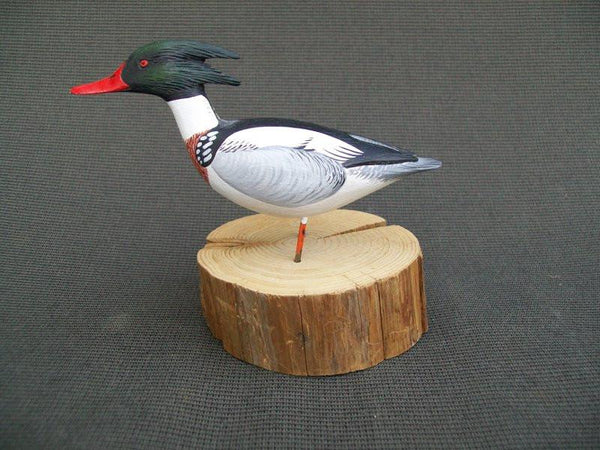 Anthony Hillman Miniature Red Breasted Merganser