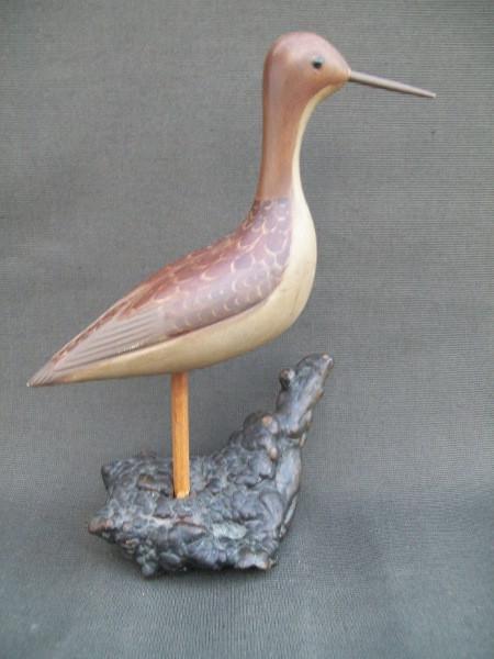 Illinois River Fred Destri Shorebird