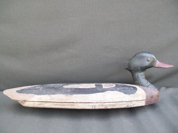 Oversized Red-breasted Merganser