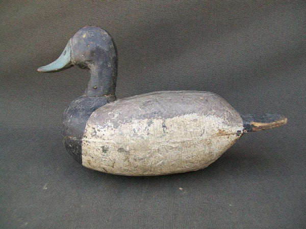 Illinois River Blue Bill with weight