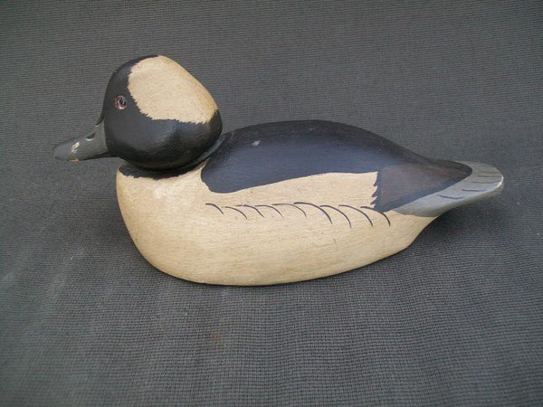 Unknown Bufflehead