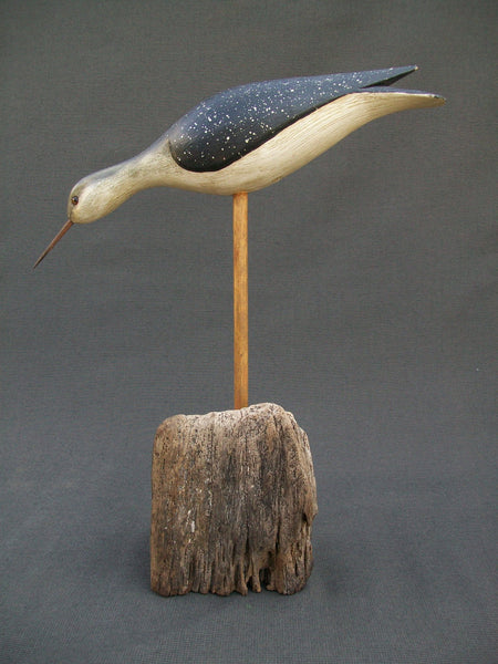 Jerry Siloski Feeding Shorebird - Decatur, Illinois