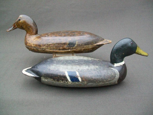 Elliston Mallards Pair