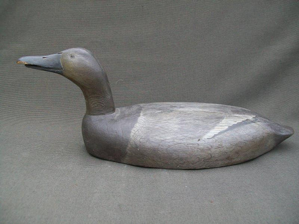 Michigan Calling Canvasback  (#857)