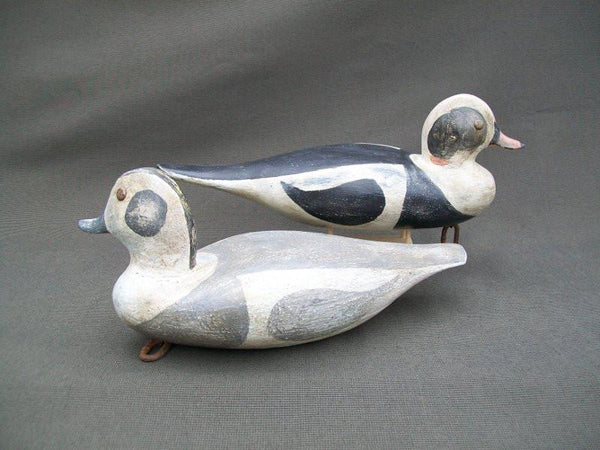 Great Bay Outlaws Duncan Szeliga Pair of Old Squaws  (#1929)