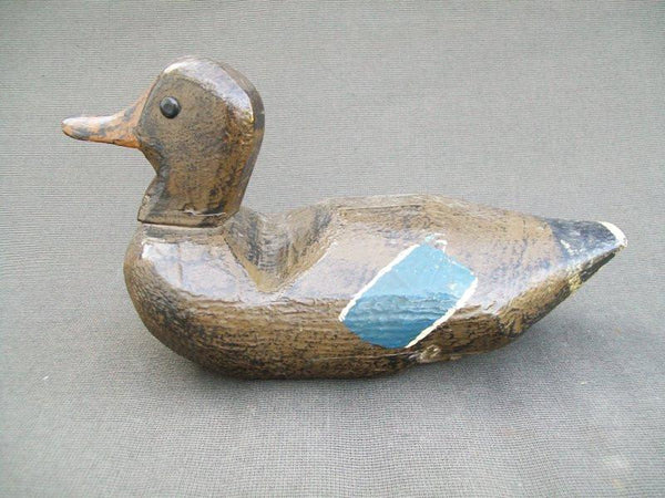 Mississippi River Mallard hen with tackeyes