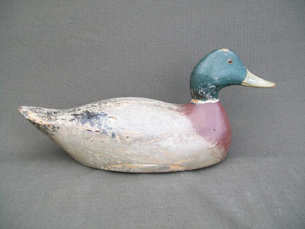 Evans Mammoth Mallard Drake