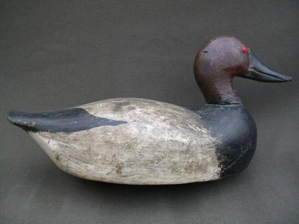 Vintage Wisconsin Canvasback Drake with Weights