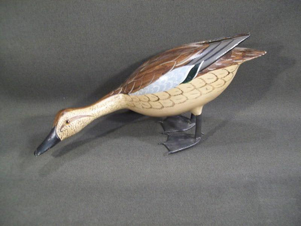 Standing Feeding Blue Wing Teal by Charlie Moore and Virgil Hodge