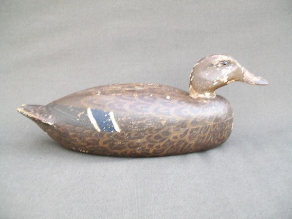 Heck Whittington working Mallard Hen