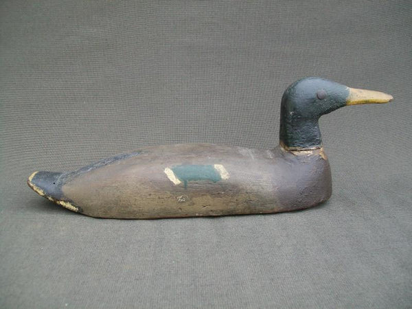 Folky Mallard Drake