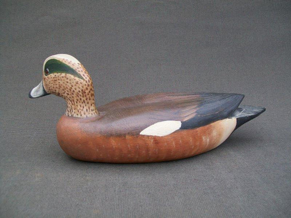 Wayne Meyer Widgeon
