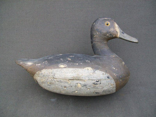 Otto Garren Blue Bill Hen