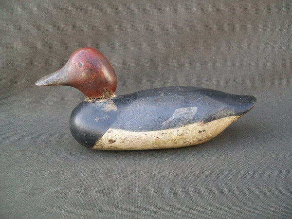 Mason Painted Eye Redhead