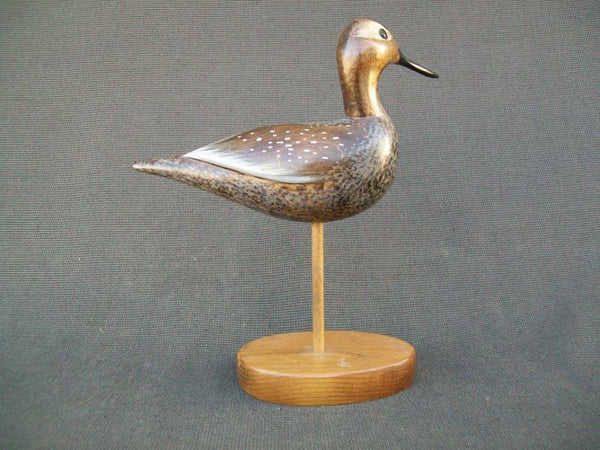 Yellow Legs Shorebird by Paul Lambrecht