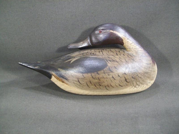 Elmer Crowell Style Preening Pintail
