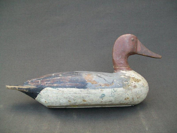 Richard Sheppard Pintail Drake Pekin Illinois