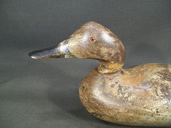 Mason Snakey Head Canvasback Hen