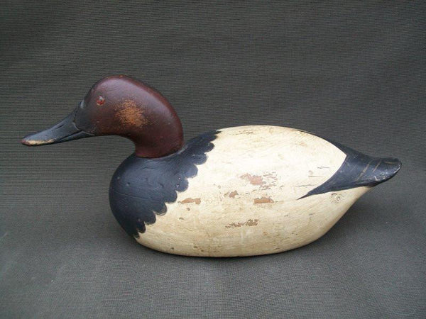 Hollow Mason Premier Canvasback Drake
