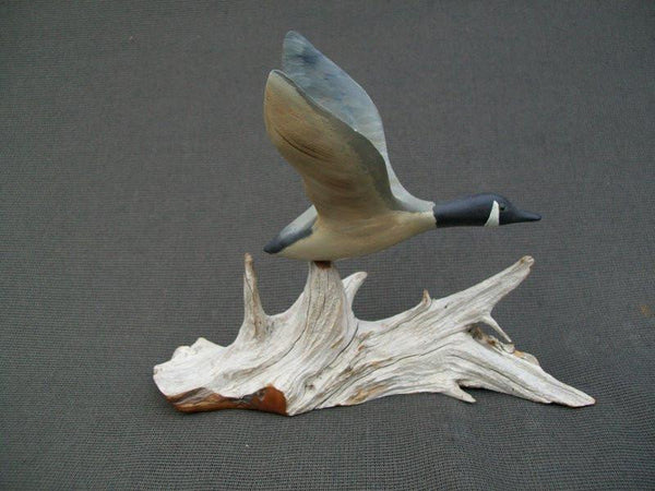 Miniature flying Canada Goose on driftwood stand