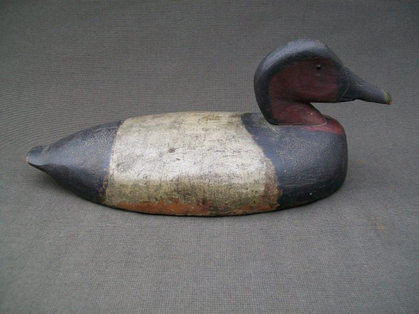 Samuel Archer Canvasback Drake Circa 1920