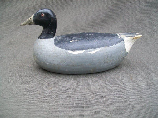 Charles Schoenheider, Sr. Coot Circa 1920's