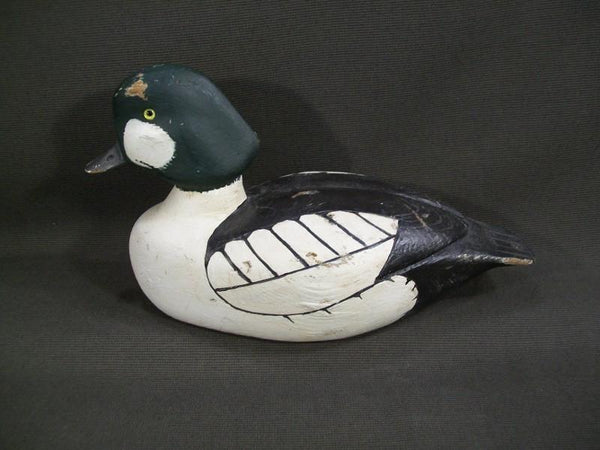 Lehman Golden Eye Drake