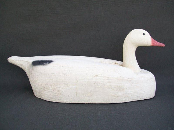 Herters Snow Goose- Tenite Head