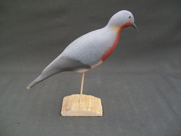Herters 1893 Series Passenger Pigeon  (#3012)