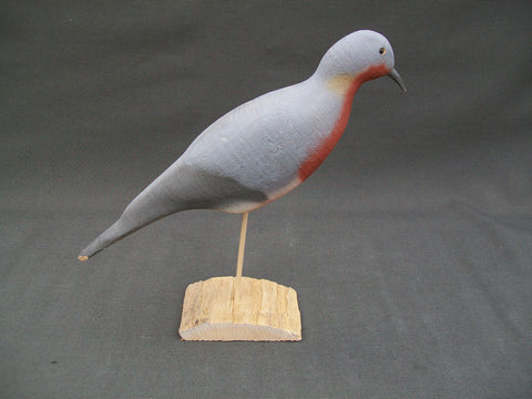 Herters 1893 Series Passenger Pigeon  (#3012)