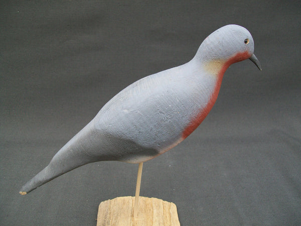 Herters 1893 Series Passenger Pigeon  (#3012)