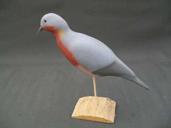 Herters 1893 Series Passenger Pigeon  (#3012)