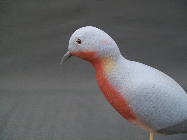 Herters 1893 Series Passenger Pigeon  (#3012)