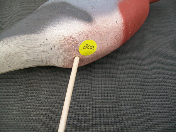 Herters 1893 Series Passenger Pigeon  (#3012)