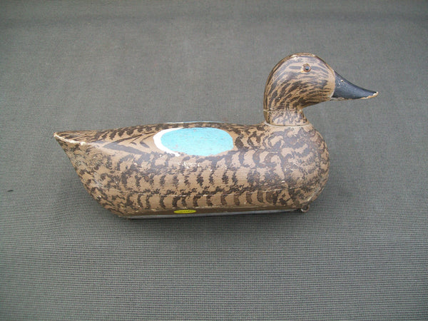 Schoenheider Jr. Blue Wing Teal Hen- All Original Paint