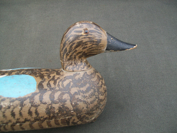 Schoenheider Jr. Blue Wing Teal Hen- All Original Paint