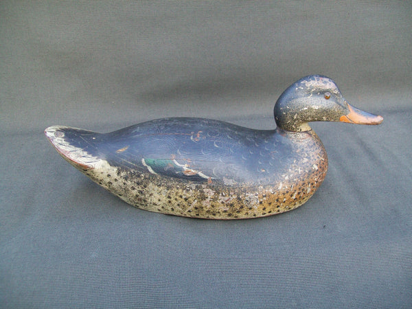 Mason Premier Mallard Hen- Early Model, All Original - Circa 1900   (#3024)