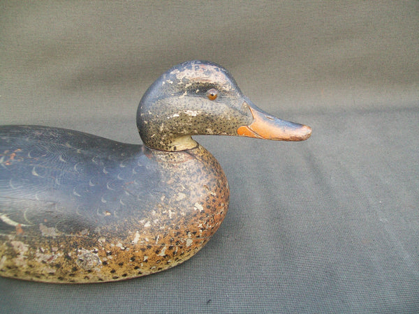 Mason Premier Mallard Hen- Early Model, All Original - Circa 1900   (#3024)