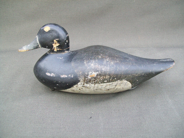 Early Ohio Ring Neck, Circa 1900   (#3026)