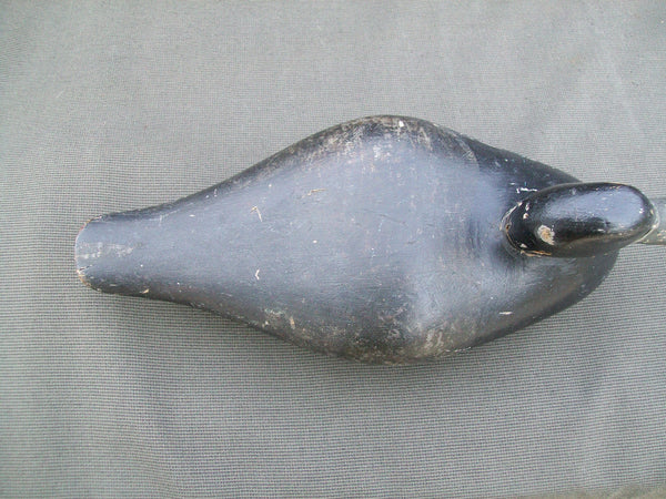 Early Ohio Ring Neck, Circa 1900   (#3026)