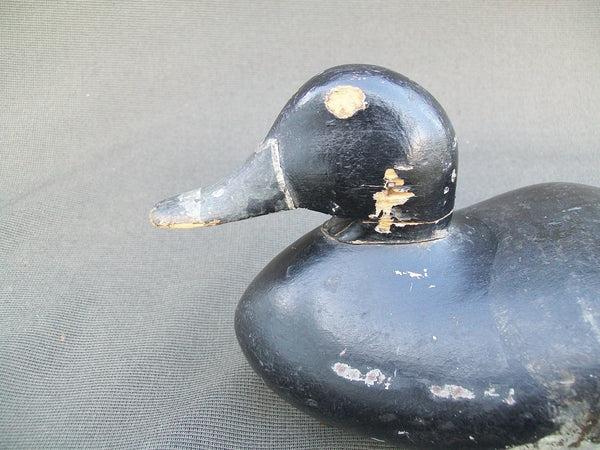 Early Ohio Ring Neck, Circa 1900   (#3026)