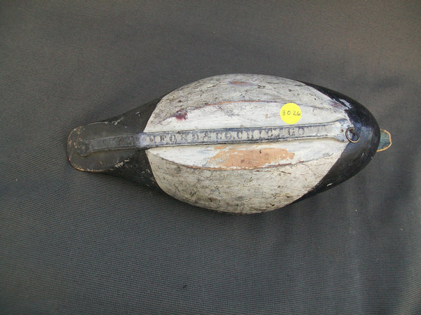 Early Ohio Ring Neck, Circa 1900   (#3026)