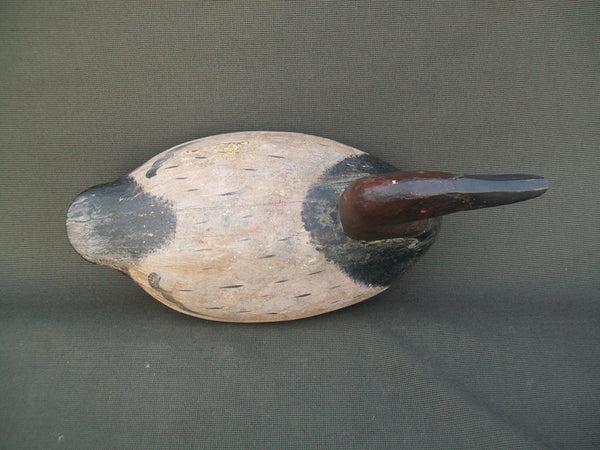 Bob McGaw Canvasback Havre de Grace, Circa 1920's  (#3040)